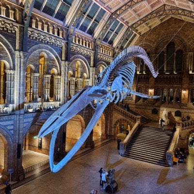 Natural History Museum