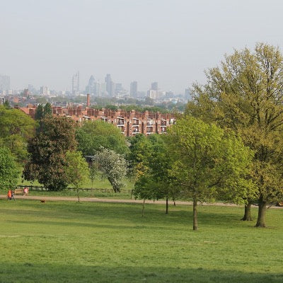 Hampstead Heath