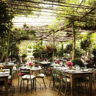 Petersham Nurseries