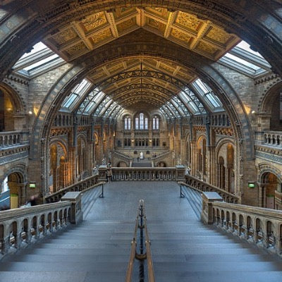 Natural History Museum